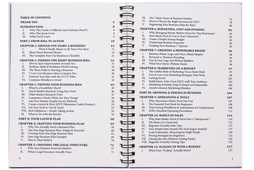 Dummies Guide To Starting Your Own Business (SPIRAL)